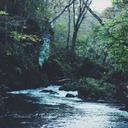 林老師 (Teacher Lin)